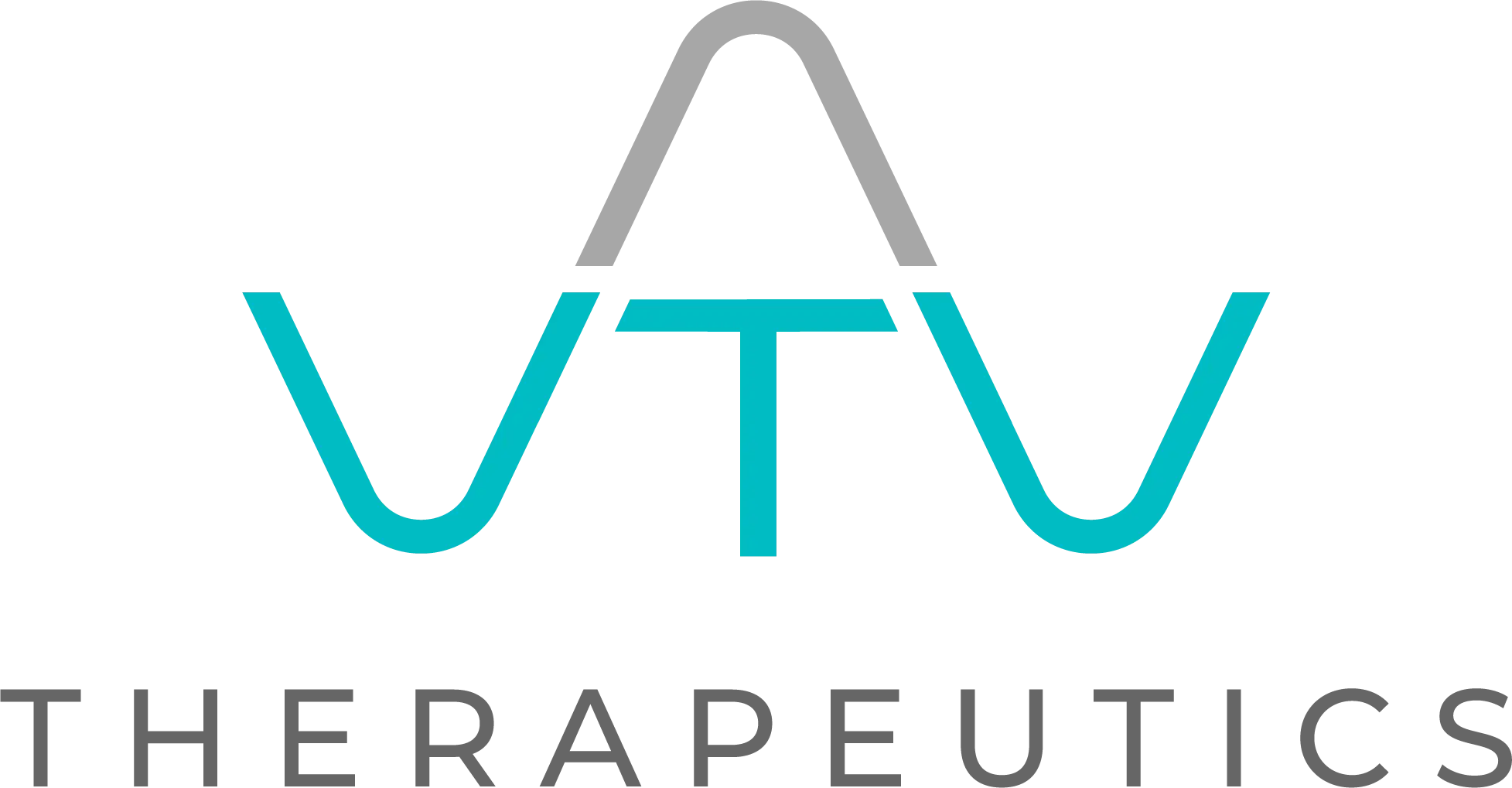 VTV Logo